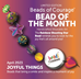 April 2023 Bead of the Month - The Rainbow Shooting Star bead reminds you to look for the joy that's all around you! - BOM15004p