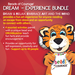 DREAM Activities - Experience Bundle (Support for up to 40 ppl) 
