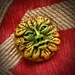 October 2019 Bead of the Month - The Green Man Bead - BOM11910p